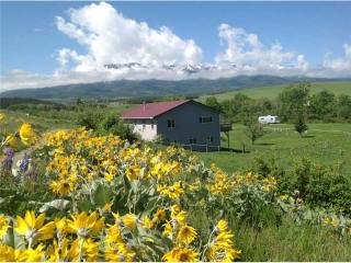 94 Fiddler Creek Rd, Fishtail, MT 59028-8010