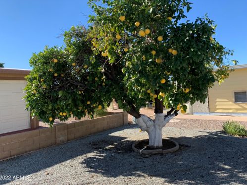 2300 Floyd Dr, Mesa AZ 85215-2617 exterior