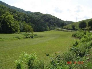 617 War Creek Rd, Eidson, TN 37731-1830