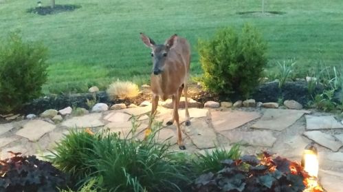 7705 Camp Rd, Mount Vernon OH  43050-9372 exterior