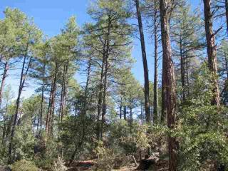 401 Grapevine Dr, Payson, AZ 85541-4154