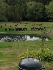 2451 Hoquiam Rd, Hoquiam, WA 98550-9114