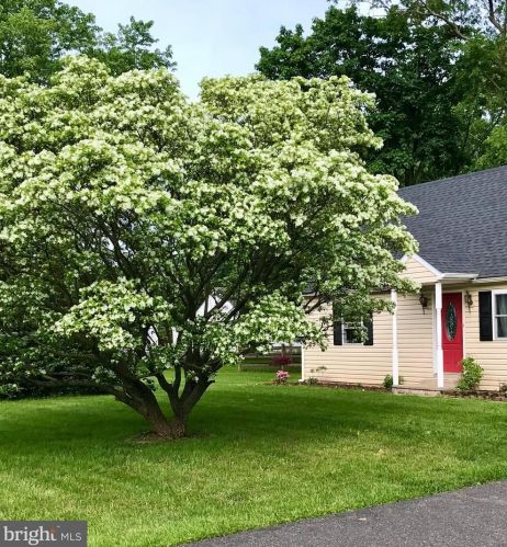 64 Level Rd, Collegeville, PA 19426-3345