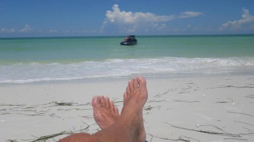 3719 Floramar Ter, New Port Richey FL  34652-3100 exterior