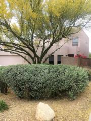 6209 Ventana View Pl, Tucson, AZ 85750-0704
