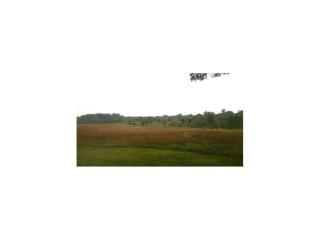2338 Jefferson Rd, Thorpe, IA 52057-8623