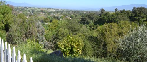 2968 Ballard Canyon Rd, Solvang CA  93463-9702 exterior