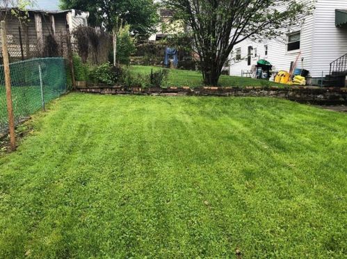 433 Jackson St, Monongahela PA 15063-2448 exterior