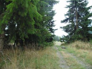 10301 179th Ave, Gate, WA 98579-9540