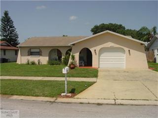 2147 Tumbleweed Dr, Tarpon Springs, FL 34690-4540