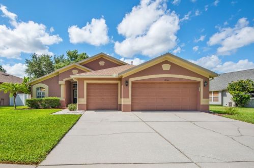 19700 Ellendale Dr, Land O Lakes, FL 34638-8011