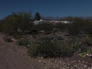 2431 Fickett Ave, Tucson, AZ 85713-2511