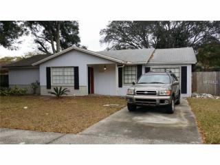 1308 Vinemont Dr, Brandon, FL 33510-2552