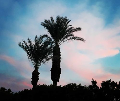 28 Lincoln Pl, Rancho Mirage CA  92270-1927 exterior