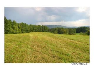 255 Emmas Grove Rd, Fletcher, NC 28732-8469