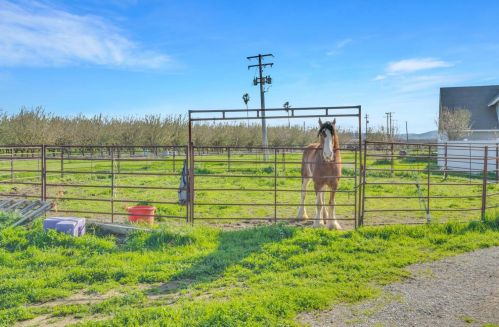 16720 Sycamore Ave, Grayson, CA 95363-9724