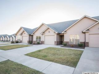 12071 Southern Charm Blvd, Madison AL  35756-3663 exterior