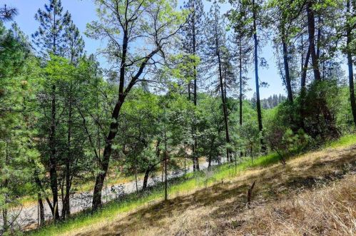 19221 Wolf Creek Rd, Grass Valley CA  95949-6913 exterior