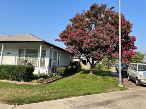 921 Hutchins St, Lodi CA  95240-5242 exterior