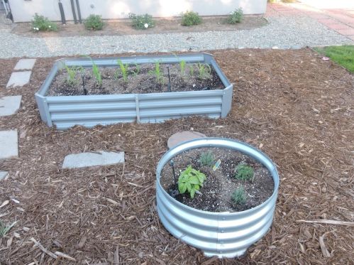 6577 Melrose Dr, North Highlands CA  95660-4378 exterior