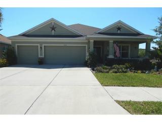 11124 Foster Carriage Rd, Lithia, FL 33547-4904