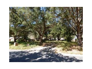 1537 Regal Oak Dr, Kissimmee, FL 34744-6640