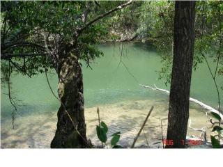 20324 Misty Ln, Altha, FL 32421-4736