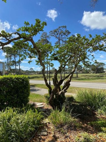 410 Long Cove Ct, Ormond Beach FL  32174-9290 exterior