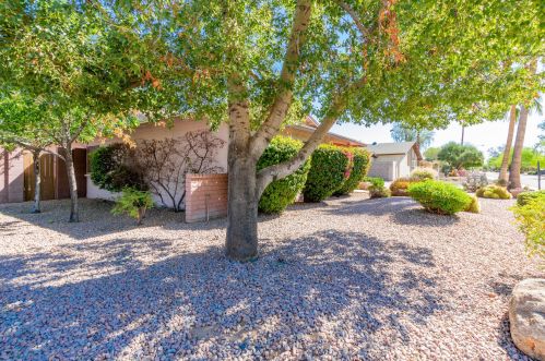 8820 Cholla St, Scottsdale, AZ 85260-6104