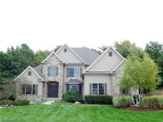 4244 Brownstone Ln, Medina, OH 44256-5551