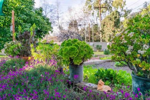 24 Center St, Redlands CA  92373-8102 exterior
