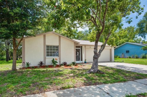 13321 Beaumont Ct, Port Richey, FL 34667-6949