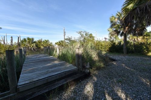 1017 Pne Ave, Saint George Island FL  32328-2416 exterior