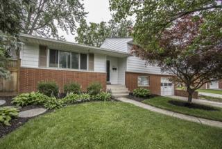 499 Sioux Dr, Westerville, OH 43081-2624