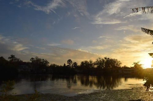 4520 Trouble Creek Rd, New Port Richey FL 34652-4824 exterior