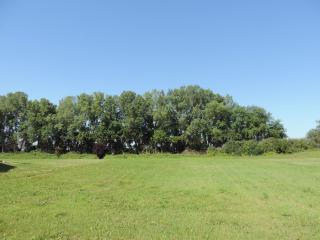 308 Santa Maria Dr, Arlington, WI 53911-9514