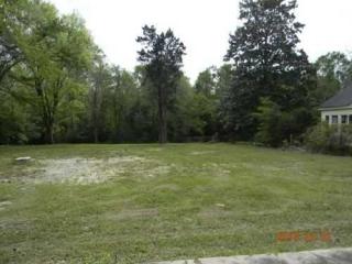 404 Hill St, Batesburg-Leesville, SC 29006-1603