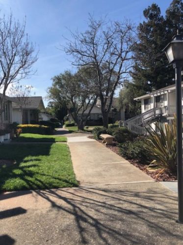 5149 Cribari Pl, San Jose CA 95135-1301 exterior