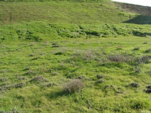 9170 Morton Davis Dr, Grayson, CA 95363-8606
