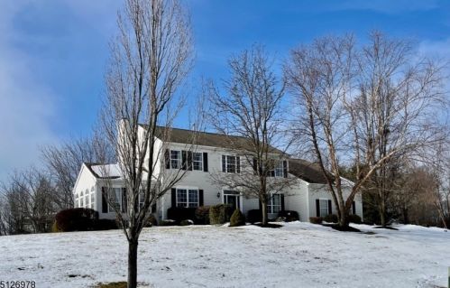 2 Taylor Ct, East Amwell Township, NJ 08551-1830