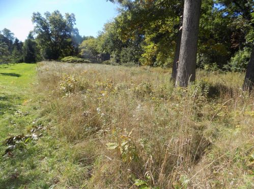 18 Dorland Ave, Poughkeepsie NY 12603 exterior