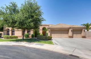 4902 Jojoba Way, Chandler, AZ 85248-5420
