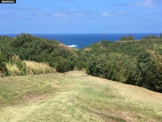 112 Kahiapo Pl, Haiku, HI 96708-5126