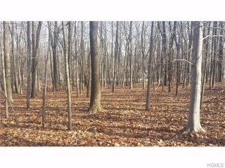 303 Old Mountain Rd, Otisville, NY 10963-2906