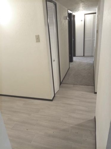 524 Oldbridge Dr, Allen TX  75002-4007 exterior