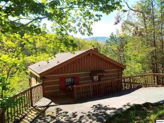 942 Vixen Run, Gatlinburg, TN 37738-6343