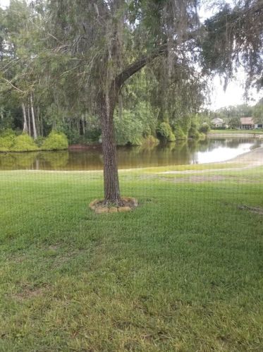 11601 Scotch Pine Dr, New Port Richey, FL 34654-1928