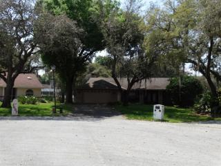 1651 Sir Henrys Trl, Lakeland, FL 33809-5043