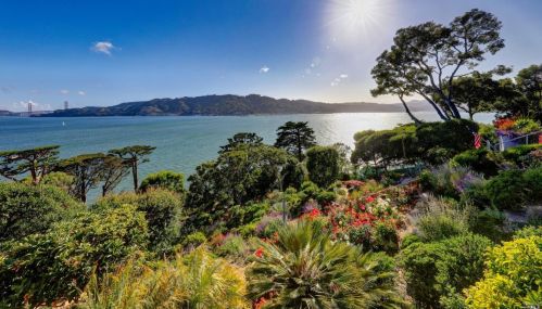 333 Belvedere Ave, Tiburon CA 94920-2429 exterior