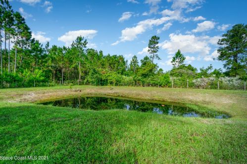 4401 Windsor Ct, Mims, FL 32754-4799